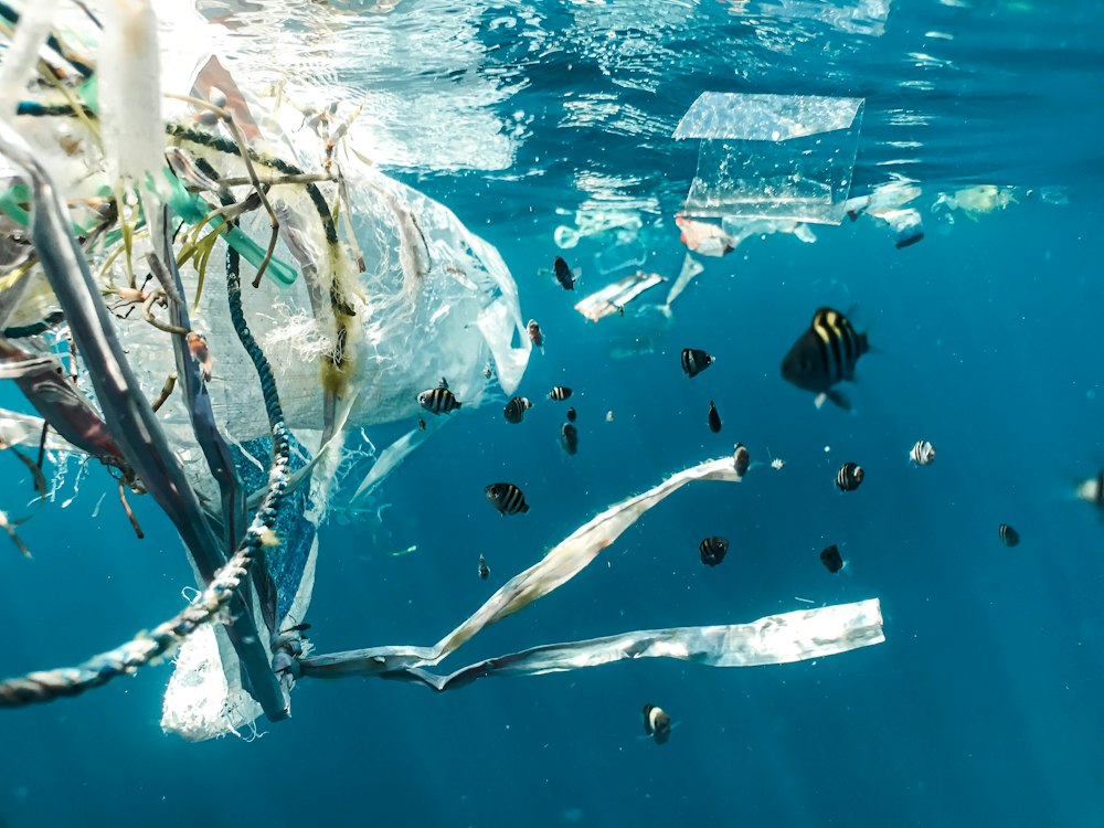 Plastic waste floating underwater in the ocean