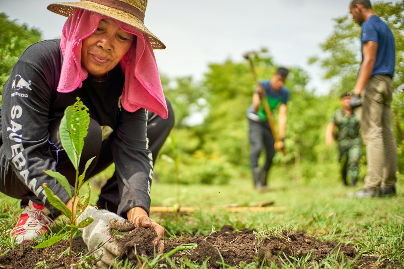 Volunteer planting a tree seedling in a community planting event
